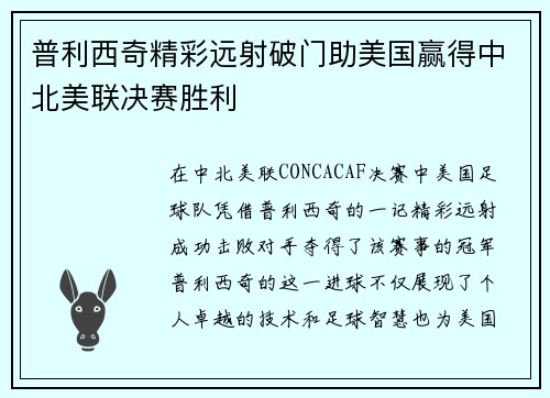 普利西奇精彩远射破门助美国赢得中北美联决赛胜利